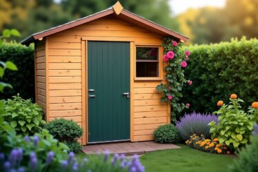 Guide essentiel pour préserver et entretenir votre chalet de jardin en bois